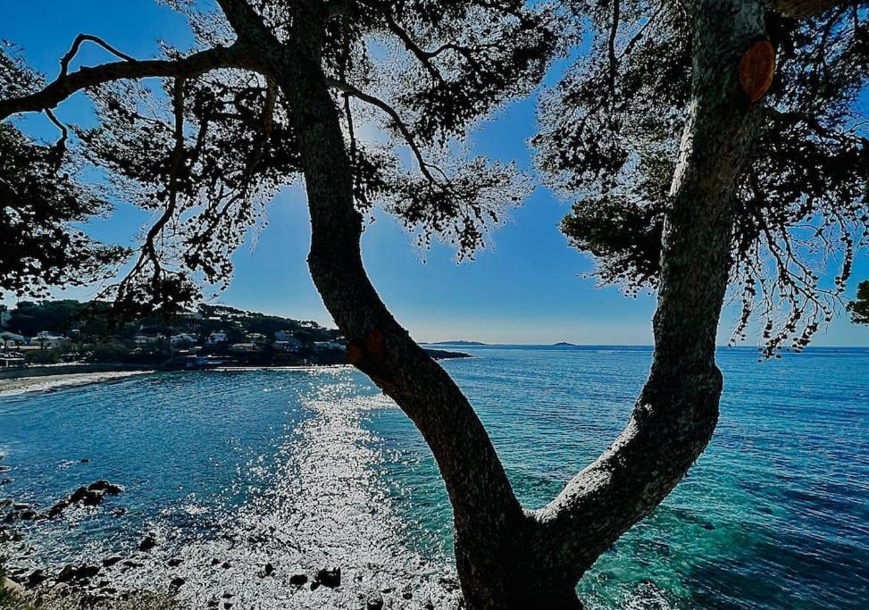 Escapade Au Coeur De Sanary Apartman Kültér fotó