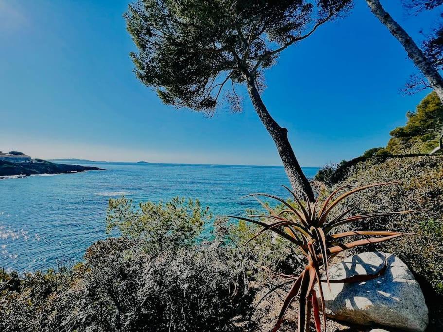Escapade Au Coeur De Sanary Apartman Kültér fotó